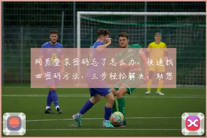 网页登录密码忘了怎么办，快速找回密码方法，三步轻松解决，助您安全登录