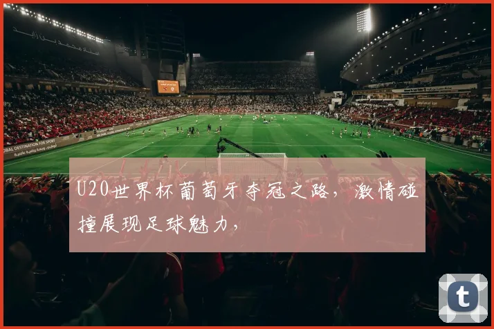 U20世界杯葡萄牙夺冠之路，激情碰撞展现足球魅力，