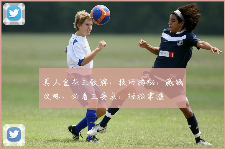 真人金花三张牌，技巧揭秘，赢钱攻略，必看三要点，轻松掌握